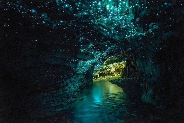 Waitomo Glow Worm Caves Flickr 2il org
