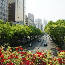 Guangzhou Spring Festival Flower Fair