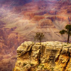 What to do in the Grand Canyon