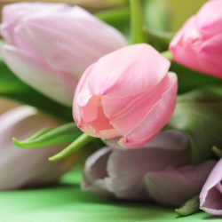 Mother’s Day Celebrations Around the World